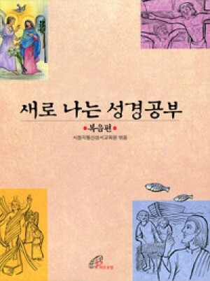 새로 나는 성경공부 (복음편) / 바오로딸