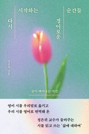 다시 시작하는 경이로운 순간들-1 / 민음사